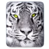 White Tiger Raschel Throw, (50" X 60") -Home Store 810469130 1