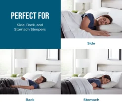 Fiber & Shredded Memory Foam Pillow With Zippered Inner Cover, 2-Pack -Home Store 810490764 810490765 810490766 810490767 810490768 810490769 2