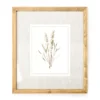Botanical Linen Framed Print 1 Botanical Linen Framed Print -Home Store 810540303