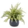11" Green Artificial Fern In Black Round Pot -Home Store 810544290