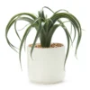 Green Aloe In Off-White Speckled Pot -Home Store 810547496