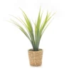 Green Artificial Cymbidium Plant With Brown Woven Pot -Home Store 810557191