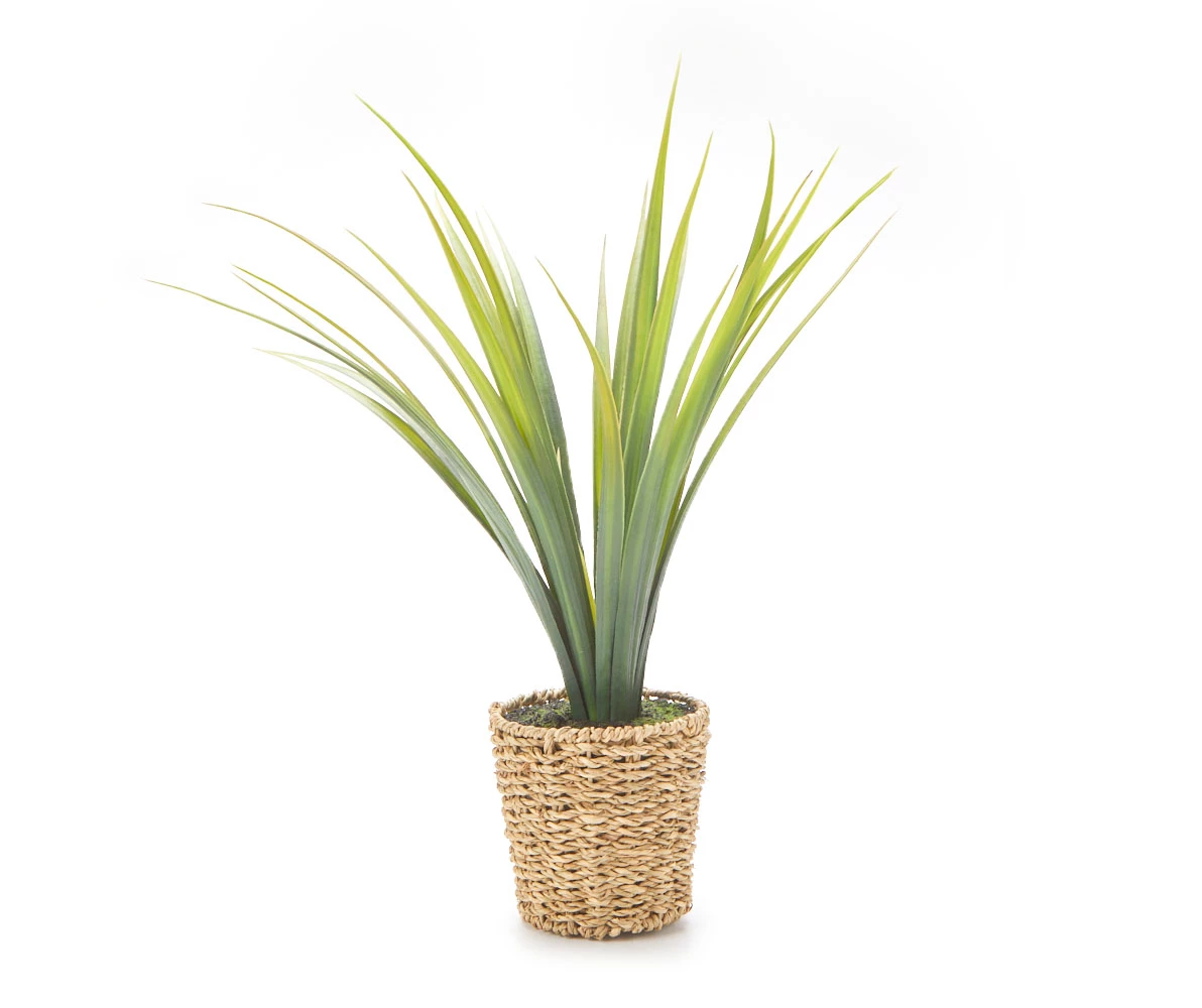 Green Artificial Cymbidium Plant With Brown Woven Pot 3 Green Artificial Cymbidium Plant With Brown Woven Pot