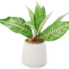 Green Artificial Leafy Arrangement With White Ridged Ceramic Pot -Home Store 810561038