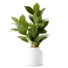 Green Artificial Banyan Plant With White Ceramic Pot -Home Store 810564615