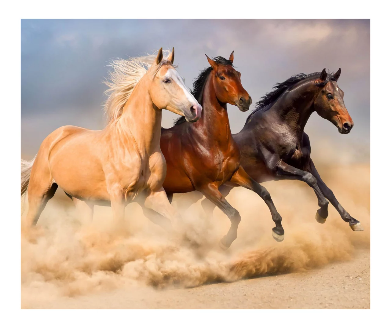 Raschel Brown Horses Throw, (50" X 60") 3 Raschel Brown Horses Throw, (50" X 60")