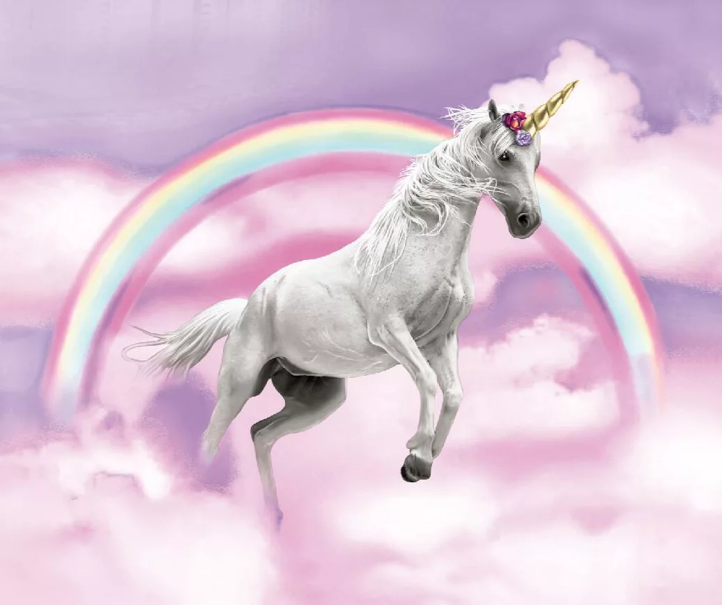 Raschel Pink & Purple Unicorn Throw, (50" X 60") 3 Raschel Pink & Purple Unicorn Throw, (50" X 60")