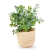 Green Artificial Leafy Plant Arrangement With Brown Woven Pot 1 Green Artificial Leafy Plant Arrangement With Brown Woven Pot -Home Store 810588278 A0