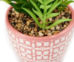 Blossom Green Artificial Succulent With Pink & White Ceramic Pot -Home Store 810592885 A8 2