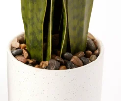 Wild Sedona Artificial Snake Plant With White Ceramic Pot -Home Store 810604547 A8 1