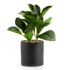 Artificial Greenery In Black Ribbed Ceramic Pot 1 Artificial Greenery In Black Ribbed Ceramic Pot -Home Store 810609474 A0