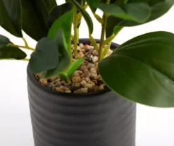 Artificial Greenery In Black Ribbed Ceramic Pot 5 Artificial Greenery In Black Ribbed Ceramic Pot -Home Store 810609474 A8 1