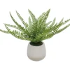 Artificial Fern In Speckle Glaze Pot -Home Store 810609849 A0
