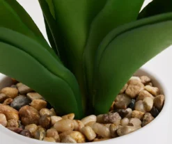 Artificial Agave Plant In White Footed Ceramic Pot -Home Store 810609850 A8 1