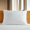 Serta White 300-Thread Count Cotton-Down Pillow -Home Store 810617379 A0 1