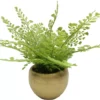 Homeward Artificial Greenery In Gold Cement Pot -Home Store 810620678 A0